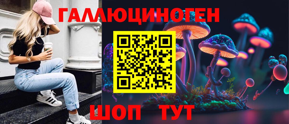 Псилоцибиновые грибы Psilocybine cubensis Ессентуки